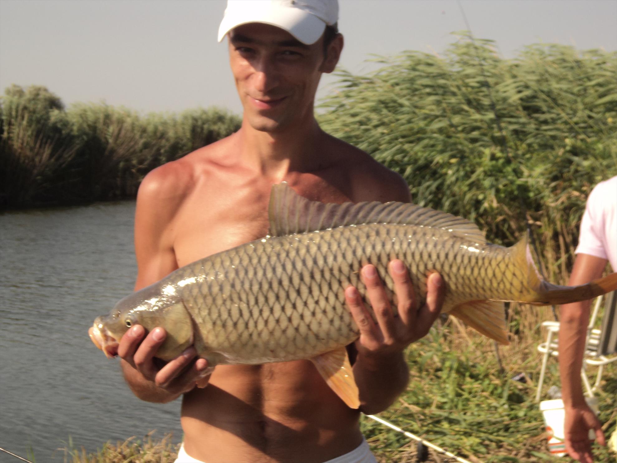 o mica parte din pesti de anul trecut - lacul razem1